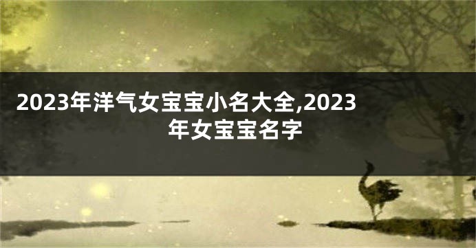 2023年洋气女宝宝小名大全,2023年女宝宝名字