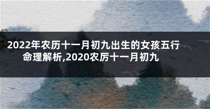 2022年农历十一月初九出生的女孩五行命理解析,2020农厉十一月初九