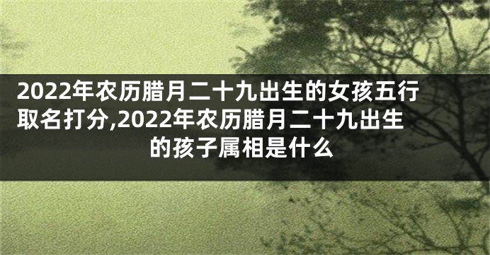2022年农历腊月二十九出生的女孩五行取名打分,2022年农历腊月二十九出生的孩子属相是什么
