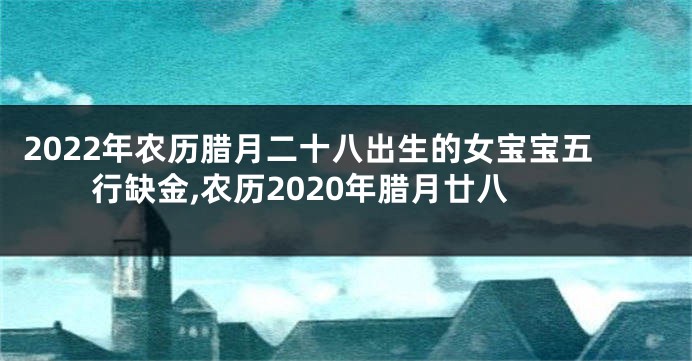 2022年农历腊月二十八出生的女宝宝五行缺金,农历2020年腊月廿八