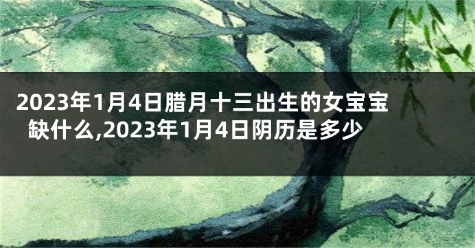 2023年1月4日腊月十三出生的女宝宝缺什么,2023年1月4日阴历是多少