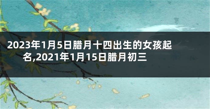2023年1月5日腊月十四出生的女孩起名,2021年1月15日腊月初三