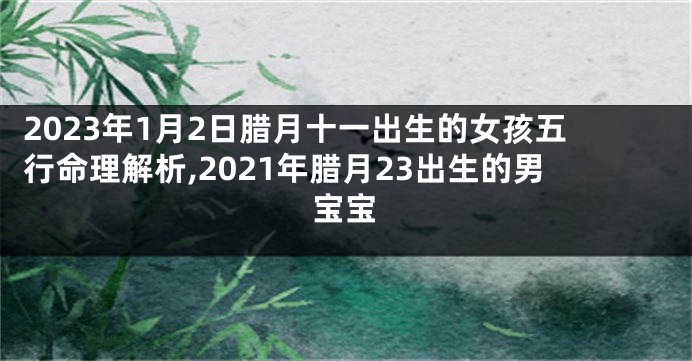 2023年1月2日腊月十一出生的女孩五行命理解析,2021年腊月23出生的男宝宝