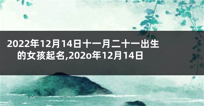 2022年12月14日十一月二十一出生的女孩起名,202o年12月14日
