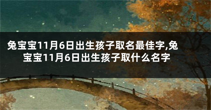 兔宝宝11月6日出生孩子取名最佳字,兔宝宝11月6日出生孩子取什么名字