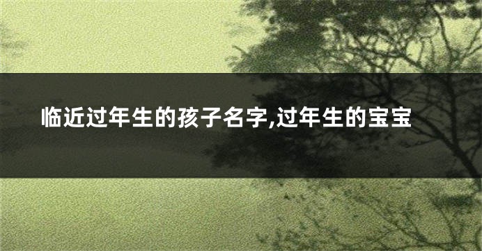 临近过年生的孩子名字,过年生的宝宝