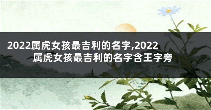 2022属虎女孩最吉利的名字,2022属虎女孩最吉利的名字含王字旁