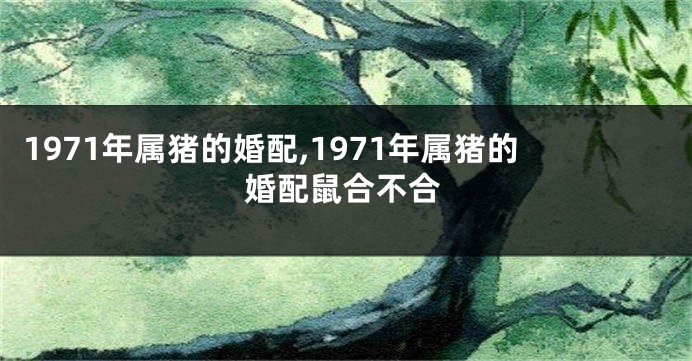1971年属猪的婚配,1971年属猪的婚配鼠合不合