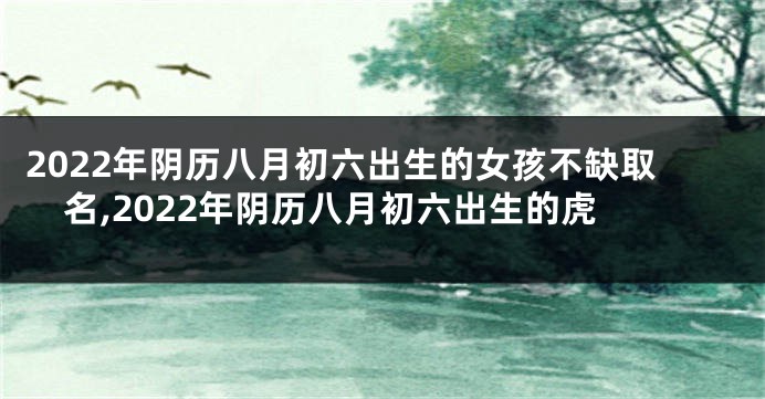 2022年阴历八月初六出生的女孩不缺取名,2022年阴历八月初六出生的虎