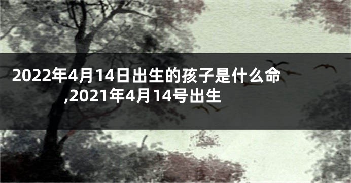 2022年4月14日出生的孩子是什么命,2021年4月14号出生