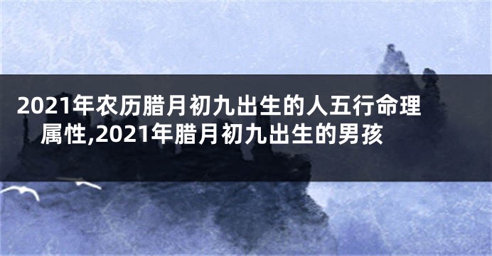 2021年农历腊月初九出生的人五行命理属性,2021年腊月初九出生的男孩