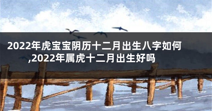 2022年虎宝宝阴历十二月出生八字如何,2022年属虎十二月出生好吗