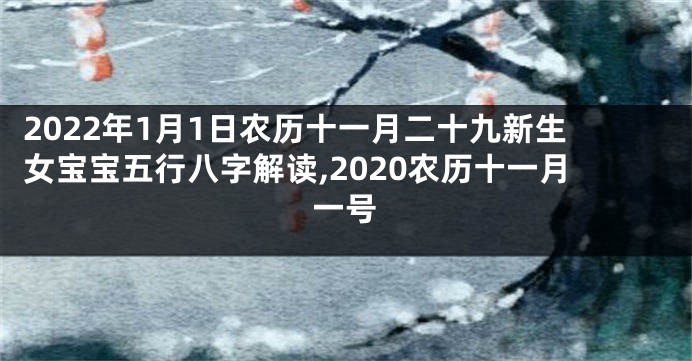 2022年1月1日农历十一月二十九新生女宝宝五行八字解读,2020农历十一月一号