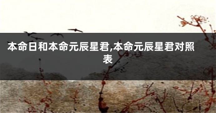 本命日和本命元辰星君,本命元辰星君对照表