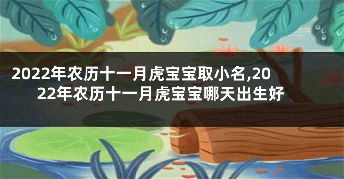 2022年农历十一月虎宝宝取小名,2022年农历十一月虎宝宝哪天出生好