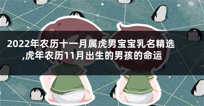 2022年农历十一月属虎男宝宝乳名精选,虎年农历11月出生的男孩的命运