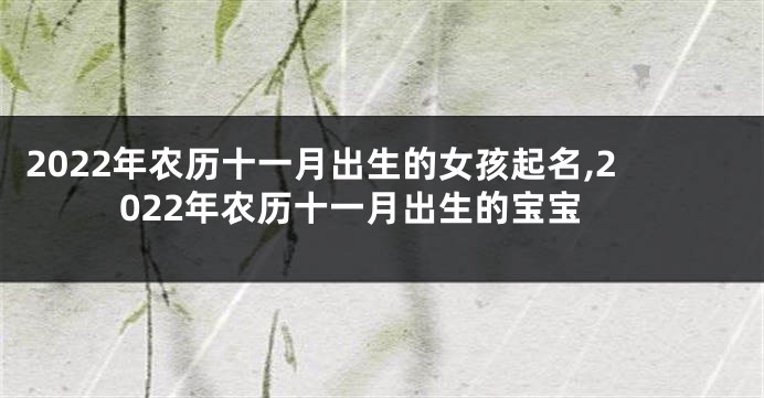 2022年农历十一月出生的女孩起名,2022年农历十一月出生的宝宝