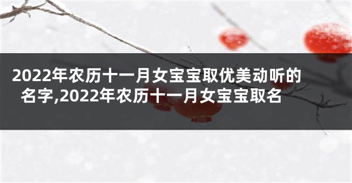 2022年农历十一月女宝宝取优美动听的名字,2022年农历十一月女宝宝取名