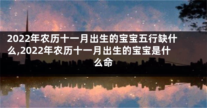 2022年农历十一月出生的宝宝五行缺什么,2022年农历十一月出生的宝宝是什么命