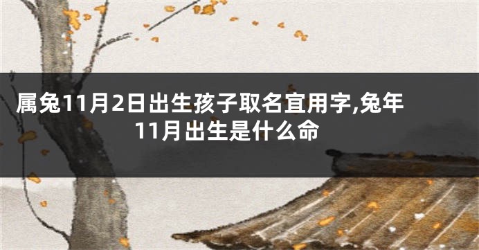 属兔11月2日出生孩子取名宜用字,兔年11月出生是什么命