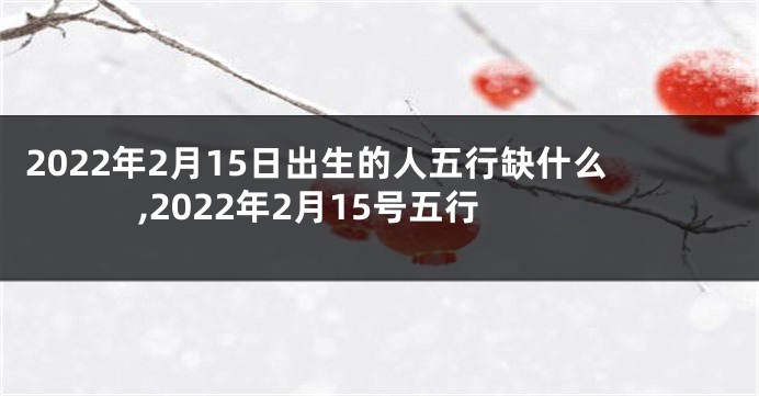 2022年2月15日出生的人五行缺什么,2022年2月15号五行