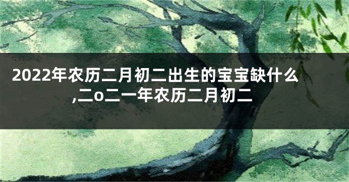 2022年农历二月初二出生的宝宝缺什么,二o二一年农历二月初二