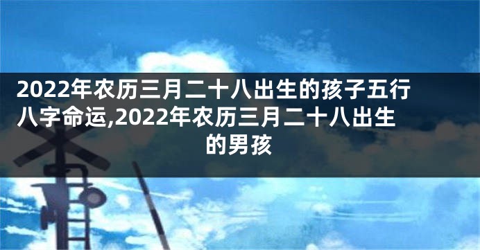2022年农历三月二十八出生的孩子五行八字命运,2022年农历三月二十八出生的男孩