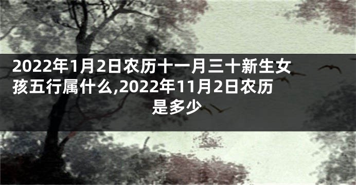 2022年1月2日农历十一月三十新生女孩五行属什么,2022年11月2日农历是多少