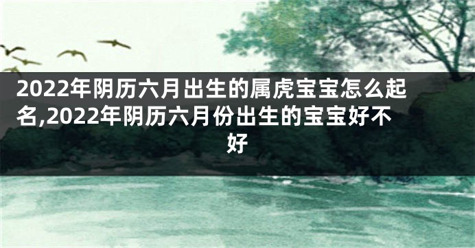 2022年阴历六月出生的属虎宝宝怎么起名,2022年阴历六月份出生的宝宝好不好