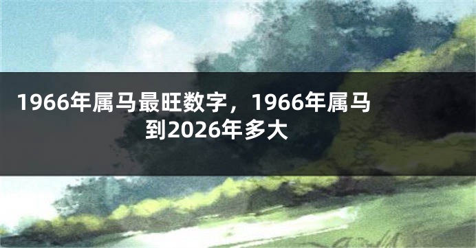 1966年属马最旺数字,1966年属马到2026年多大
