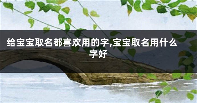 给宝宝取名都喜欢用的字,宝宝取名用什么字好