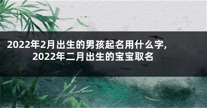 2022年2月出生的男孩起名用什么字,2022年二月出生的宝宝取名