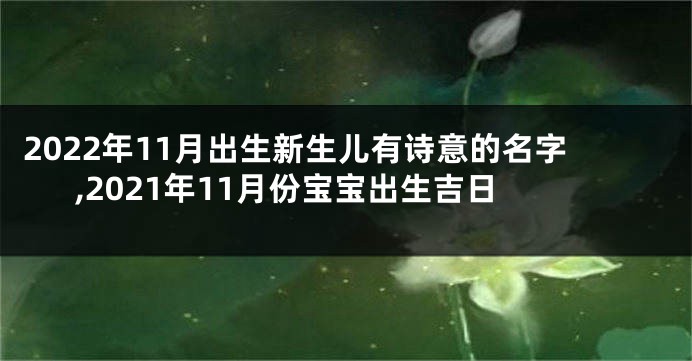 2022年11月出生新生儿有诗意的名字,2021年11月份宝宝出生吉日