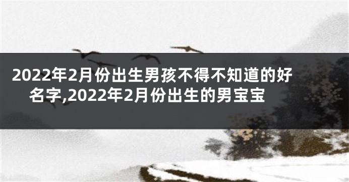 2022年2月份出生男孩不得不知道的好名字,2022年2月份出生的男宝宝