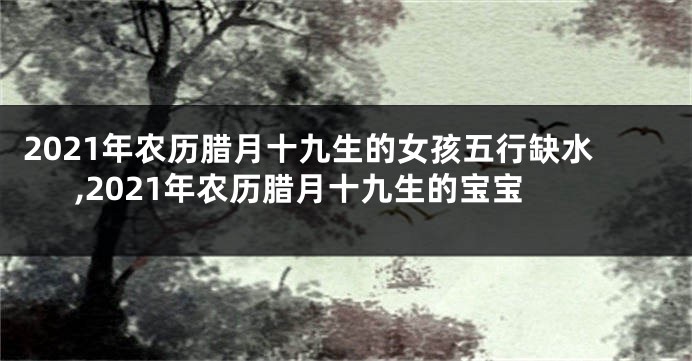 2021年农历腊月十九生的女孩五行缺水,2021年农历腊月十九生的宝宝