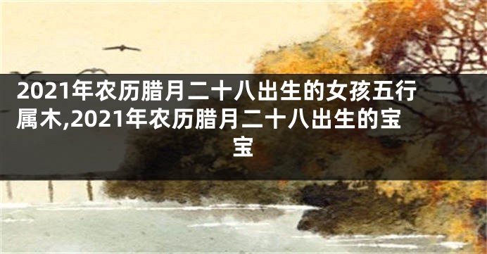2021年农历腊月二十八出生的女孩五行属木,2021年农历腊月二十八出生的宝宝