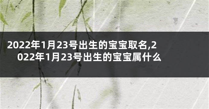 2022年1月23号出生的宝宝取名,2022年1月23号出生的宝宝属什么