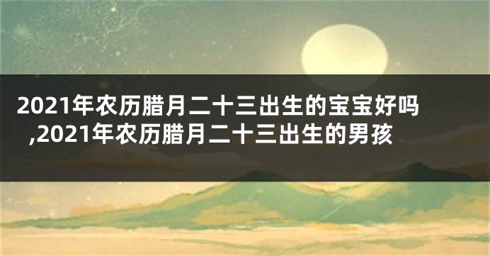 2021年农历腊月二十三出生的宝宝好吗,2021年农历腊月二十三出生的男孩