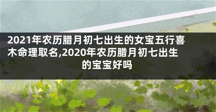 2021年农历腊月初七出生的女宝五行喜木命理取名,2020年农历腊月初七出生的宝宝好吗