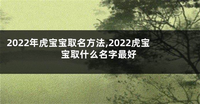 2022年虎宝宝取名方法,2022虎宝宝取什么名字最好