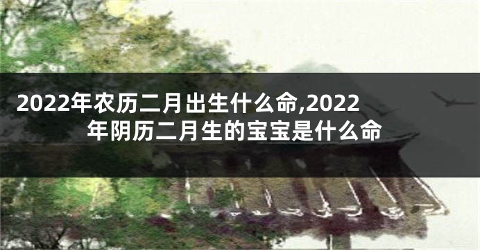 2022年农历二月出生什么命,2022年阴历二月生的宝宝是什么命