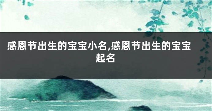 感恩节出生的宝宝小名,感恩节出生的宝宝起名