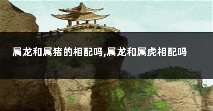 属龙和属猪的相配吗,属龙和属虎相配吗
