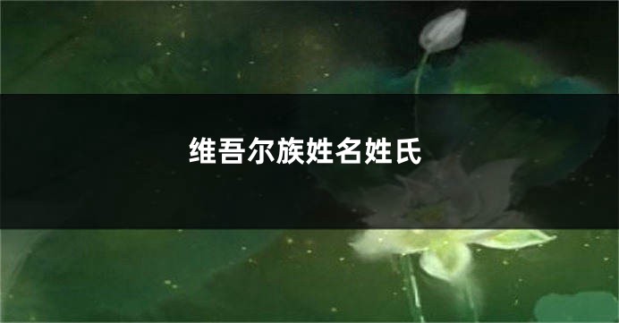 维吾尔族姓名姓氏