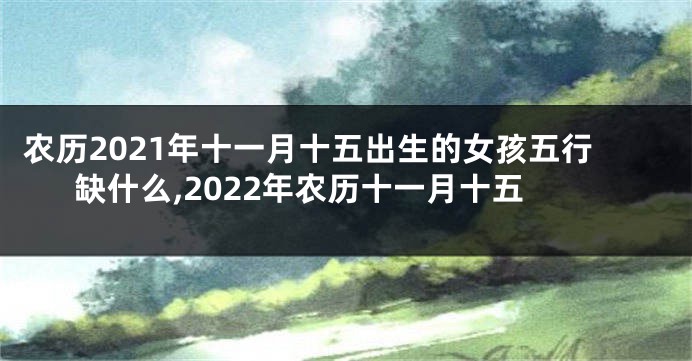 农历2021年十一月十五出生的女孩五行缺什么,2022年农历十一月十五
