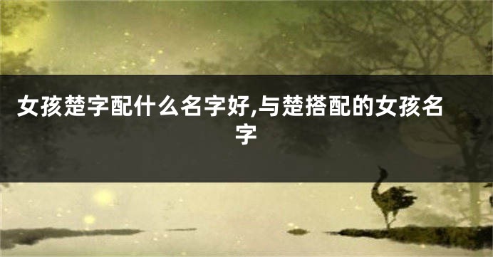 女孩楚字配什么名字好,与楚搭配的女孩名字