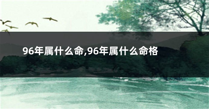 96年属什么命,96年属什么命格