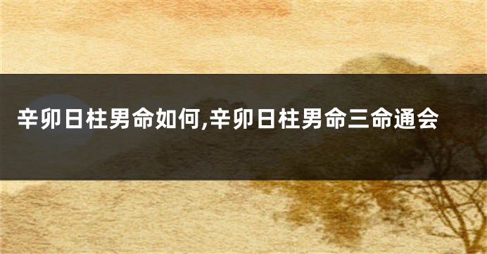 辛卯日柱男命如何,辛卯日柱男命三命通会