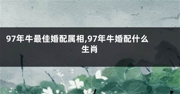 97年牛最佳婚配属相,97年牛婚配什么生肖