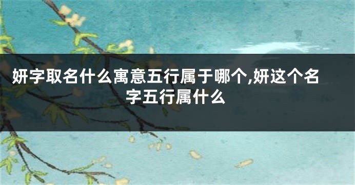 妍字取名什么寓意五行属于哪个,妍这个名字五行属什么